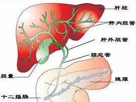 肝性胸腔积液 肝性胸腔积液