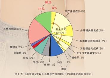 小儿呼吸道合胞病毒肺炎 小儿呼吸道合胞病毒肺炎