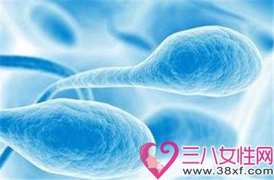 男人的精子对女人有什么好处 精子是什么味道