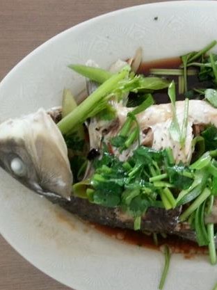 清蒸鲤鱼的家常做法之美味一刻 清蒸鲤鱼的家常做法之美味一刻