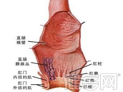 残胃平滑肌肉瘤 残胃平滑肌肉瘤