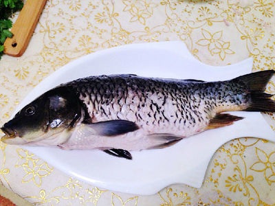 古州鯉魚