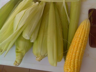 玉米叶包粽子