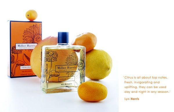 好闻柑橘调的香水推荐 清新好闻的柑橘味香水有哪些