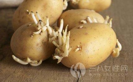 发芽土豆不能吃