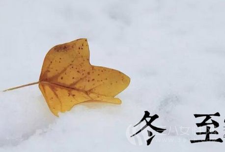 冬至为什么要吃饺子