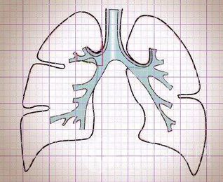 肺活量小對人體有什麼壞處