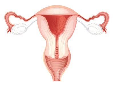 女性不孕不育的原因有哪些3.jpg
