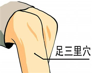 足三里在人体哪里 足三里有什么作用