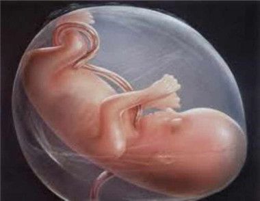 胎心異常怎麼辦 懷孕多久有胎心