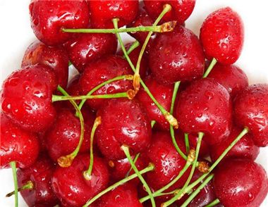 减肥可以吃樱桃吗 樱桃的营养价值有哪些