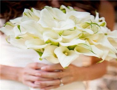 新娘手捧花一般用什麼花 手捧花一般多少朵