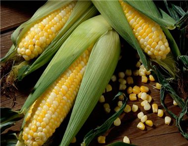 吃玉米會發胖嗎 吃玉米可以減肥嗎