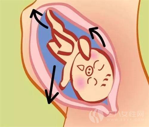 怎么辨别胎动和宫缩的.jpg