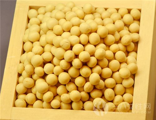 黃豆為什麼能夠減肥2.png