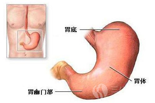 肠胃炎是怎么引起的 肠胃炎怎么治疗.jpg