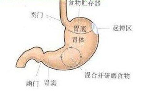 胃窦炎的发病原因有哪些· 胃窦炎有哪些症状.jpg