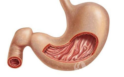 胃窦炎的发病原因有哪些 胃窦炎有哪些症状·.jpg