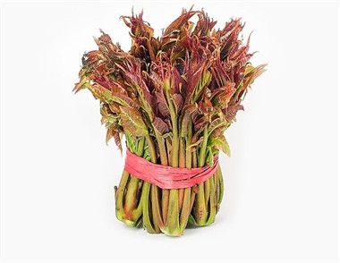 香椿和臭椿有什么区别 香椿有什么营养价值