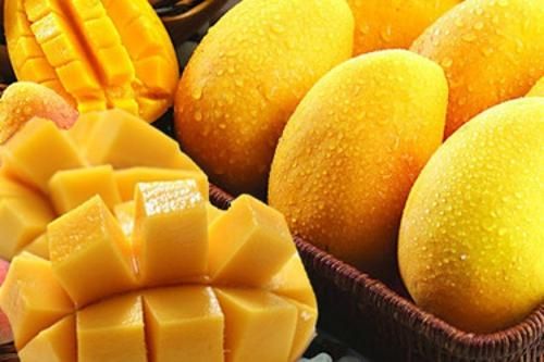 芒果應該怎麼挑選  芒果有什麼營養價值