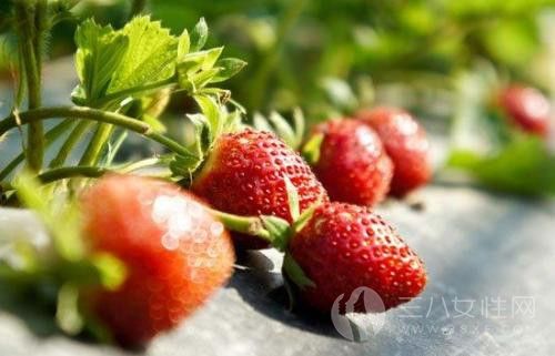 月经期能吃草莓吗11·.jpg
