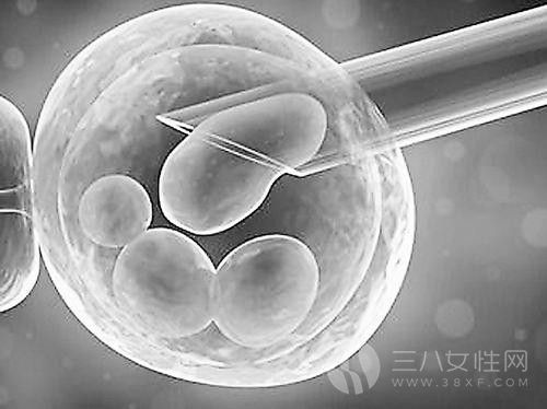 胚胎移植··.jpg