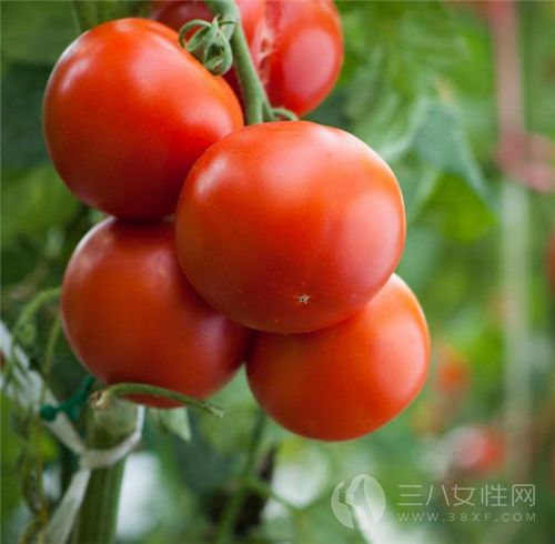 生吃西紅柿注意什麼.png