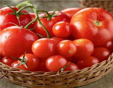 夏季吃西紅柿可以減肥嗎 多吃西紅柿有什麼好處