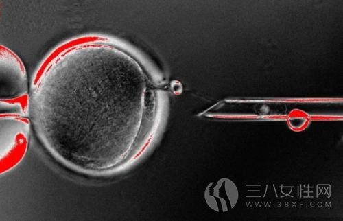 胚胎移植怎么回事.jpg