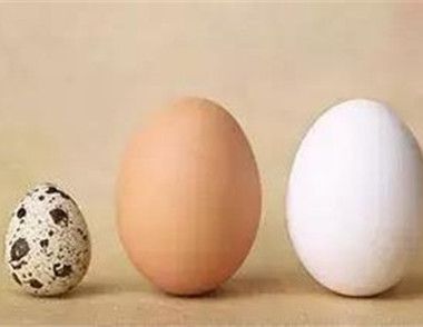 常見的蛋類有哪些 ​什麼蛋營養最好