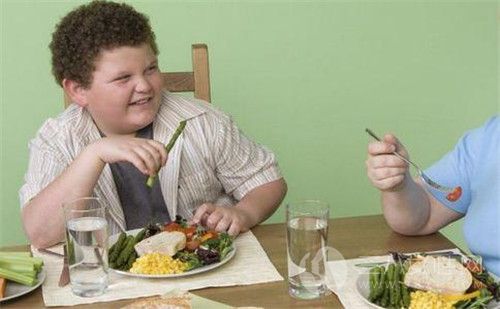 儿童肥胖吃什么