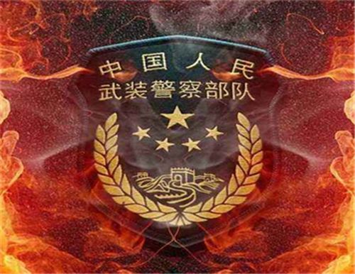 武警徒手救人是怎么回事 武警是什么