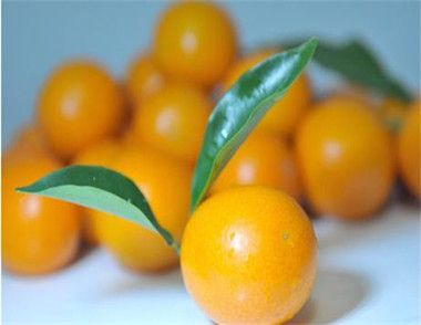 金桔该怎么挑选 金桔要怎么保存