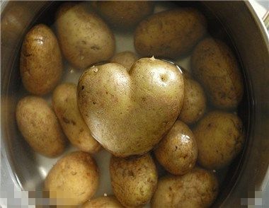 土豆皮有毒嗎 土豆皮可以吃嗎