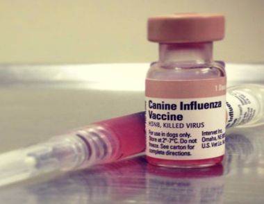 流感疫苗什麼時候打最好 流感疫苗每年都要打嗎