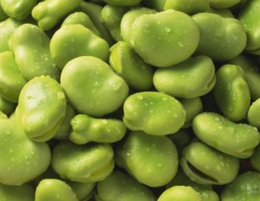 蚕豆有什么营养价值 女人吃蚕豆的好处有哪些