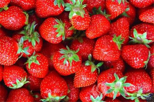 草莓可以怎么吃.jpg