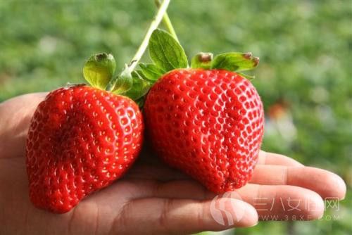草莓有什么营养价值·1.jpg