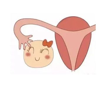 子宫内膜薄是怎样形成的 子宫内膜薄怎样调理