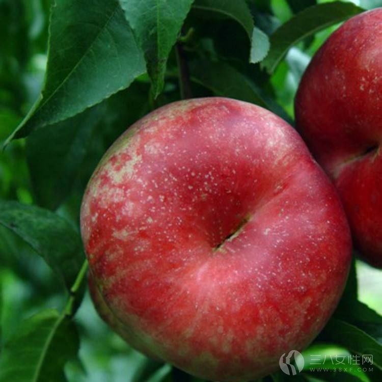蟠桃和桃子的功效有什么差别