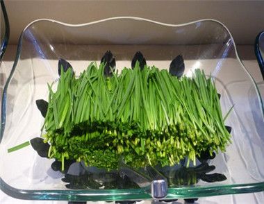 韭菜有什么功效?韭菜可以壮阳吗?