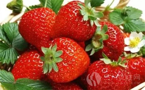 草莓变软了还能吃吗 新鲜草莓的保鲜方法有哪些·.jpg