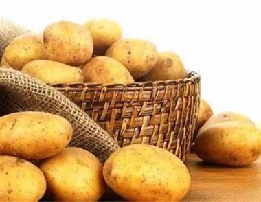 如何选购土豆 怎样储存土豆才不会发芽