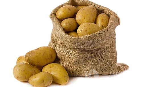 怎样储存土豆才不会发芽
