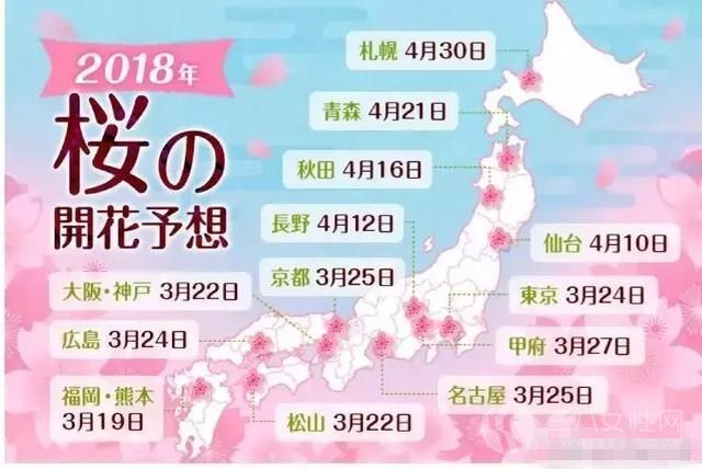 3月到4月日本哪些地方的樱花好看