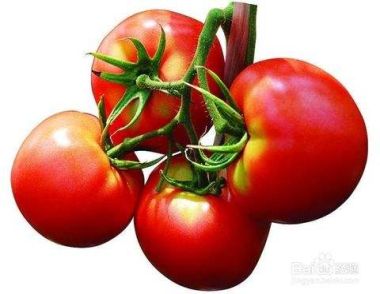 吃西红柿有什么好处 西红柿有哪些作用和功效