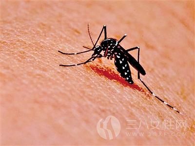 夏季如何防止蚊蟲叮咬