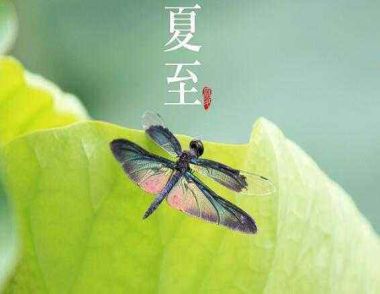 夏至是什么时候 夏至吃什么好