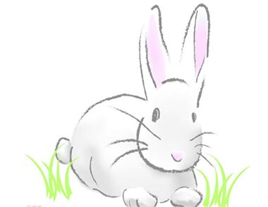 屬兔的人喜歡用什麼方式表白 屬兔的人喜歡一個人會有哪些表現
