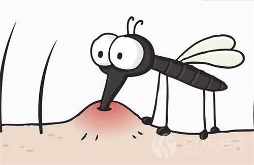 夏季蚊子咬人为什么会痒